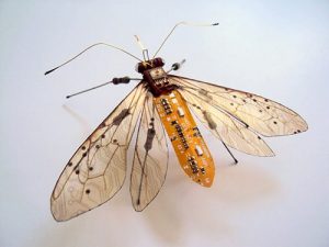 circuit-board-winged-insects-dew-leaf-julie-alice-chappell-5-min