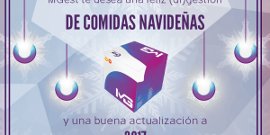 mgest-erp-moncasoft-navidad-2016-3-min