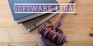 mgest moncasoft gestion gestio erp software aplicacion eina herramienta hardware empresa profesional manteniment seguretat seguridad pirateria min