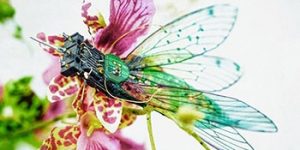 mgest moncasoft informatica software insectos piezas informatica recicladas reutilizadas julie alice chappell facebook min
